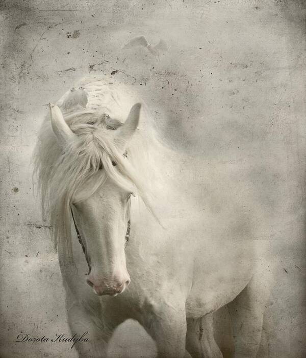 White Horse Poster featuring the photograph Nesting Time by Dorota Kudyba