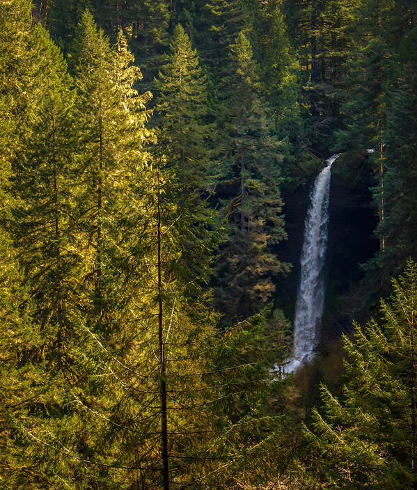 Silver Falls State Park Poster featuring the photograph North Falls View by Jerry Cahill