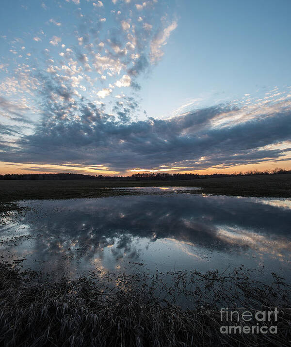 Pond Poster featuring the photograph Pond and Sky Reflection3A by Steve Somerville