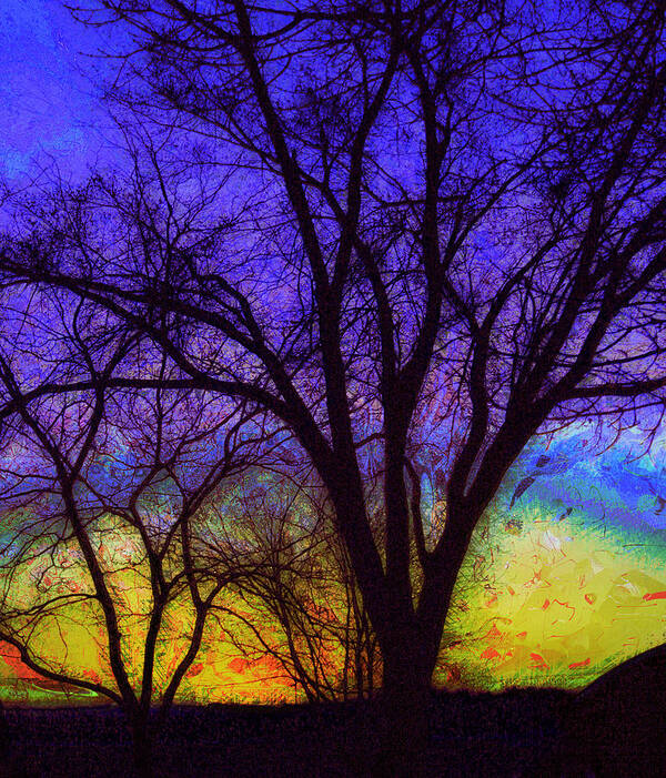 Sunrise Poster featuring the photograph Rainbow Morning by Julie Lueders 