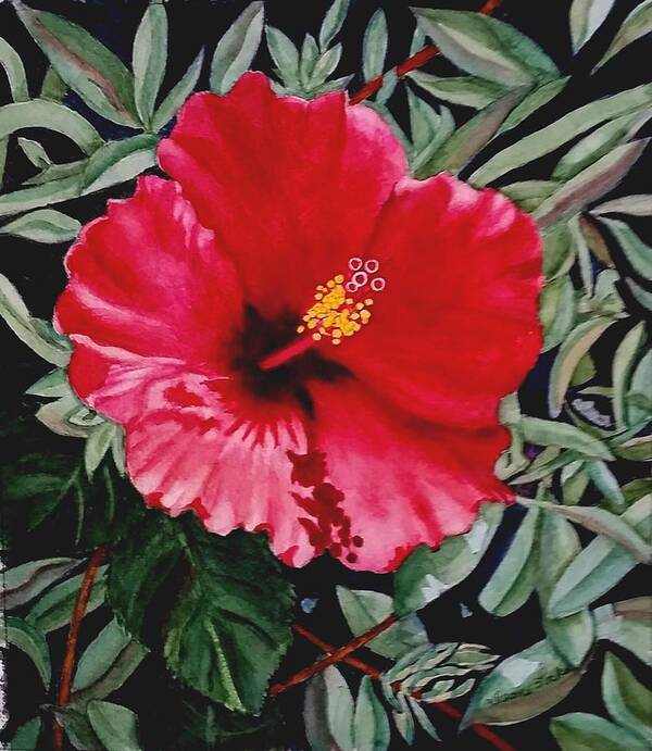 Floral Poster featuring the painting Red Hybiscus by Deane Locke
