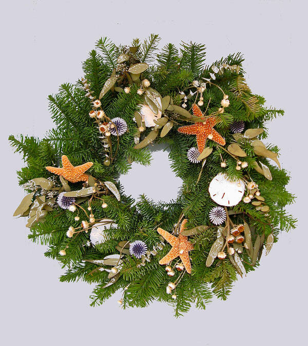 Sea Creatures Poster featuring the photograph Reef Wreath by Lin Grosvenor