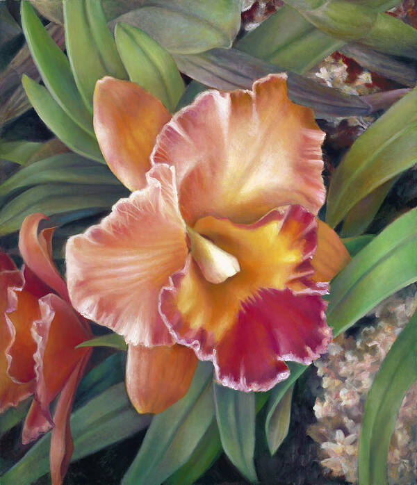 Cattleya Poster featuring the painting Ruffled Peach Cattleya Orchid by Nancy Tilles