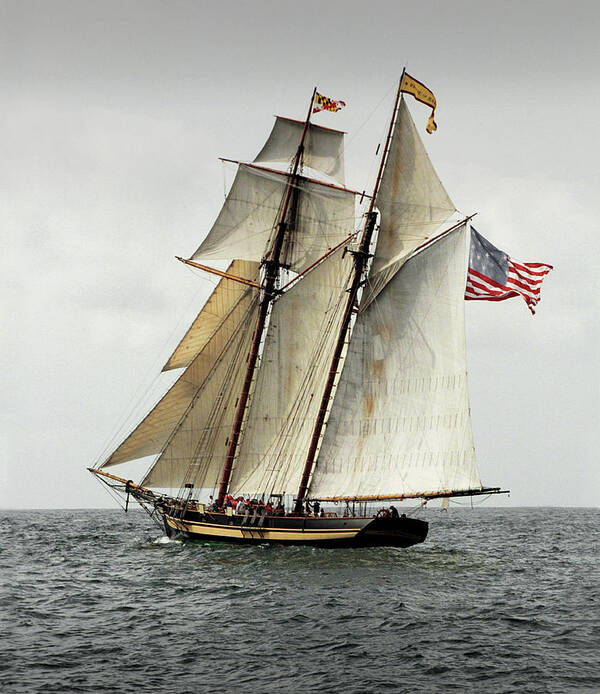 Windjammers Poster featuring the photograph Schooner Pride of Baltimore II by Fred LeBlanc