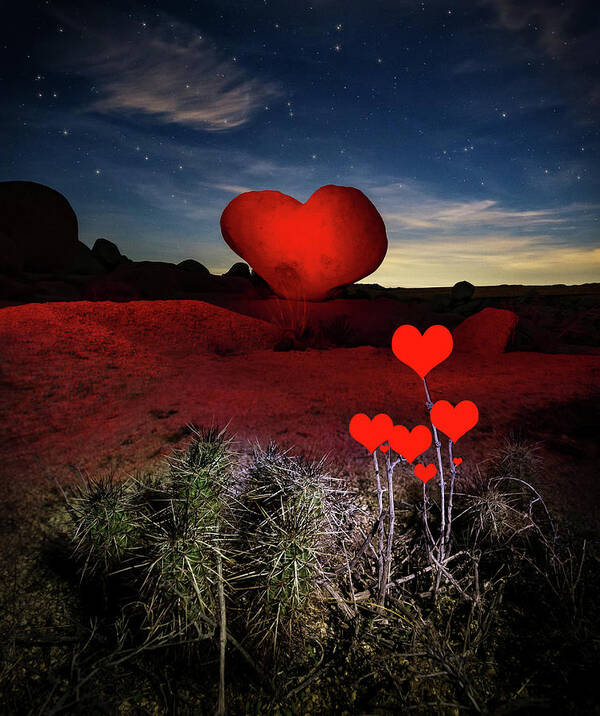 Rock Heart Poster featuring the photograph So Far Away by Tassanee Angiolillo