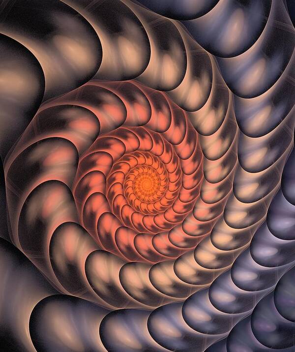 Spiral Poster featuring the digital art Spiral Shell by Anastasiya Malakhova
