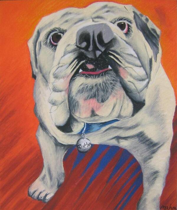 Dog Painting Poster featuring the pastel Talullah by Michelle Hayden-Marsan