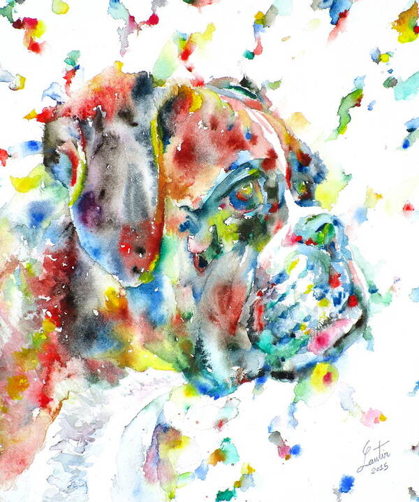 Boxer Poster featuring the painting Watercolor Boxer by Fabrizio Cassetta