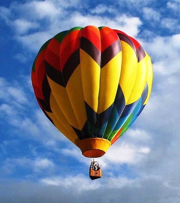 Hot Air Balloons Poster featuring the photograph What hot air can do by Ed Smith