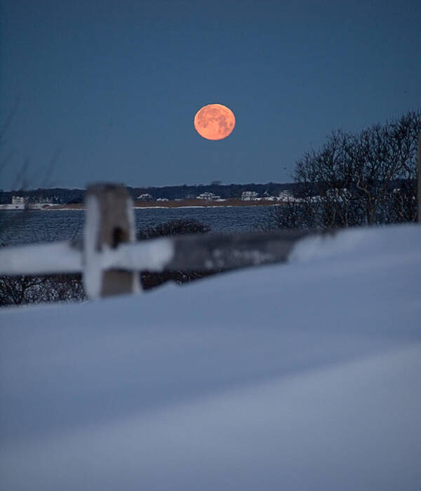 Wolf Moon Poster featuring the photograph Wolf Moon by Newwwman