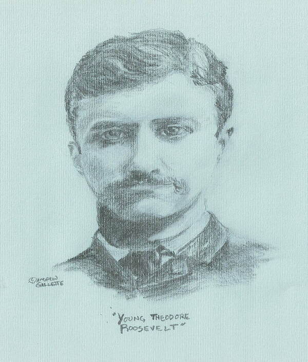 Teddy Roosevelt Poster featuring the drawing Young Theodore Roosevelt by Andrew Gillette