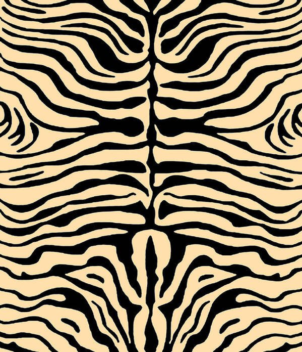Zebra Stripes Poster featuring the digital art Zebra Stripes by Vagabond Folk Art - Virginia Vivier
