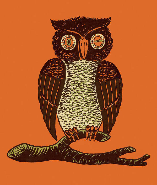 Animal Poster featuring the drawing Owl on Branch #1 by CSA Images