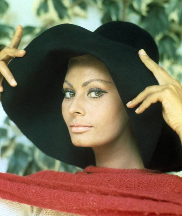 Sophia Loren Poster featuring the photograph Sophia Loren . #5 by Album