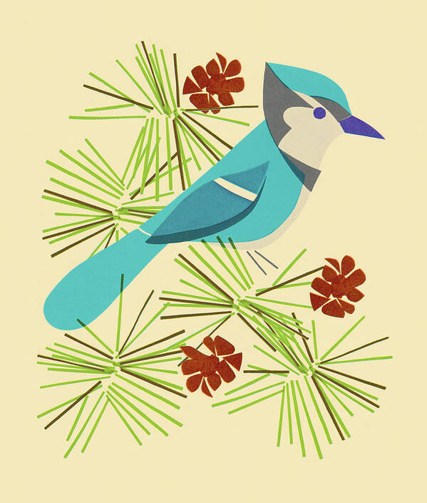 Animal Poster featuring the drawing Blue Jay Sitting on Branch by CSA Images