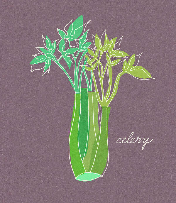 Campy Poster featuring the drawing Celery by CSA Images