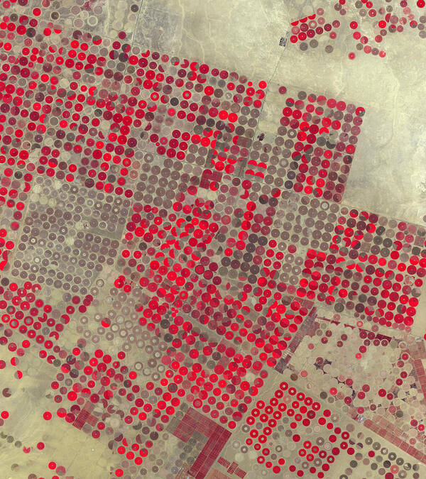 Aerial Poster featuring the photograph Center-pivot Irrigation, Saudi Arabia by Science Source