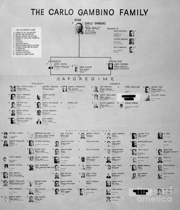 Chart Of Gambino Crime Family Poster by Bettmann