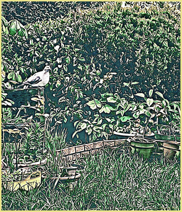 Lise Winne Poster featuring the tapestry - textile Garden Pigeon, Abbie Shores FAA Challenge 19 by Lise Winne