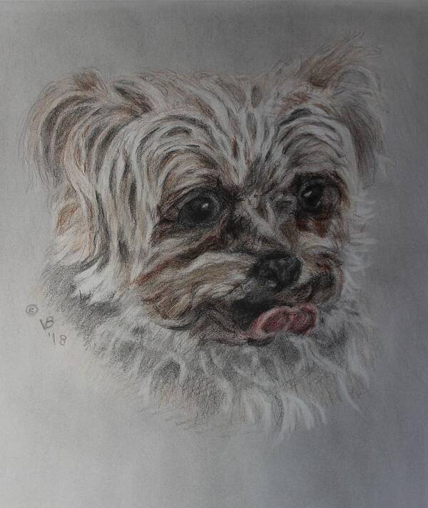 Yorkshire Terrier Poster featuring the painting Rosie by Vera Smith