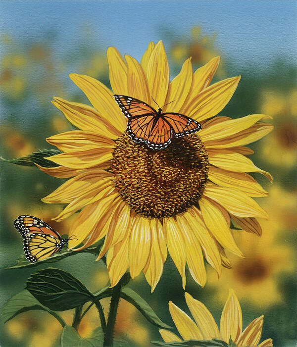 Sunflower Butterflies Poster featuring the painting Sunflower/butterflies by William Vanderdasson
