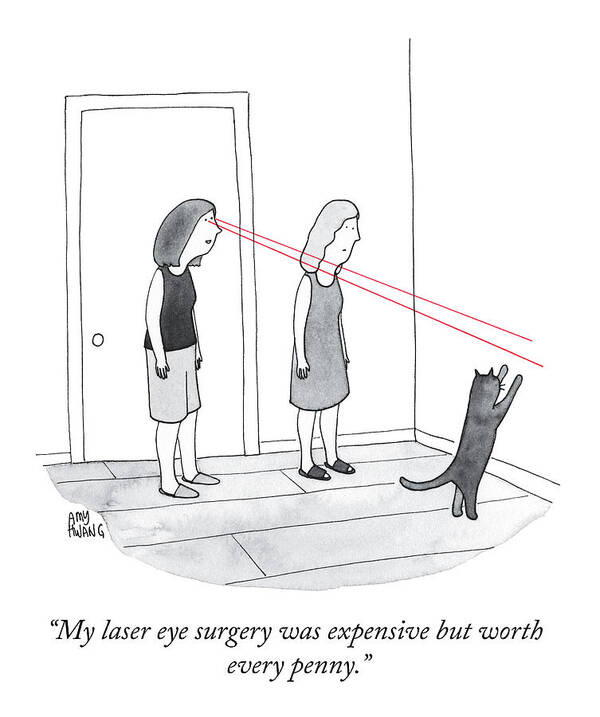 “my Laser Eye Surgery Was Expensive But Worth Every Penny.” Lasik Poster featuring the drawing Worth Every Penny by Amy Hwang