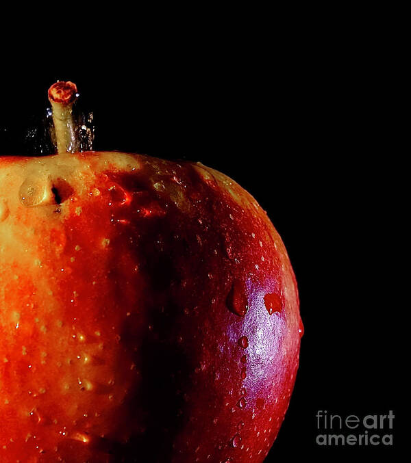 Apple Poster featuring the photograph Apple and Drops by Elisabeth Derichs