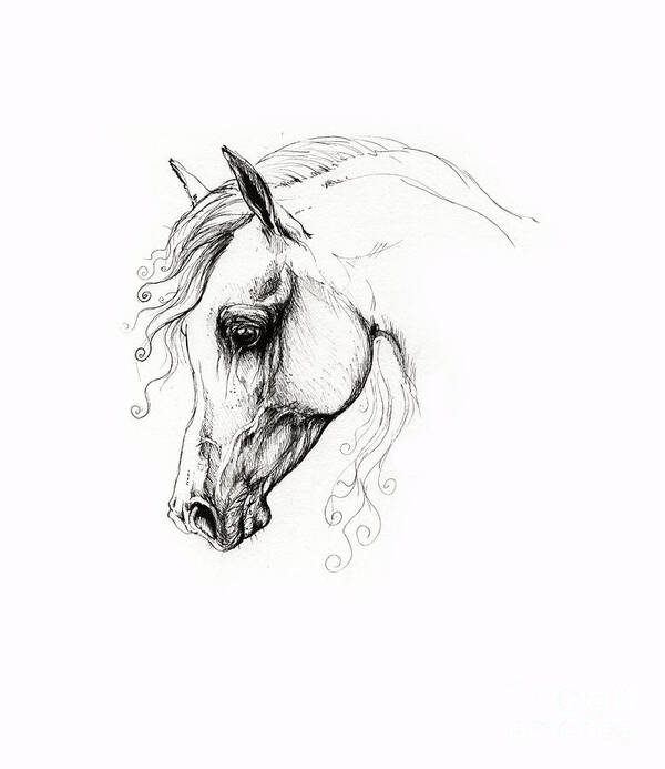 Fairytale Poster featuring the drawing Arabian Horse Drawing 15 by Ang El