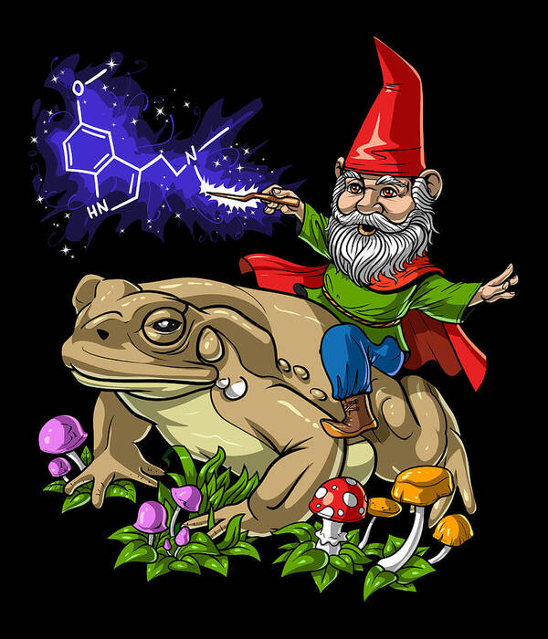 5 Meo Dmt Poster featuring the digital art Bufo Alvarius Toad Gnome by Nikolay Todorov