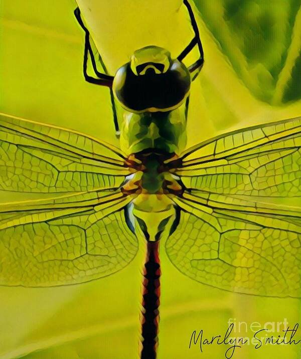 Insect Poster featuring the painting Dragon Fly by Marilyn Smith