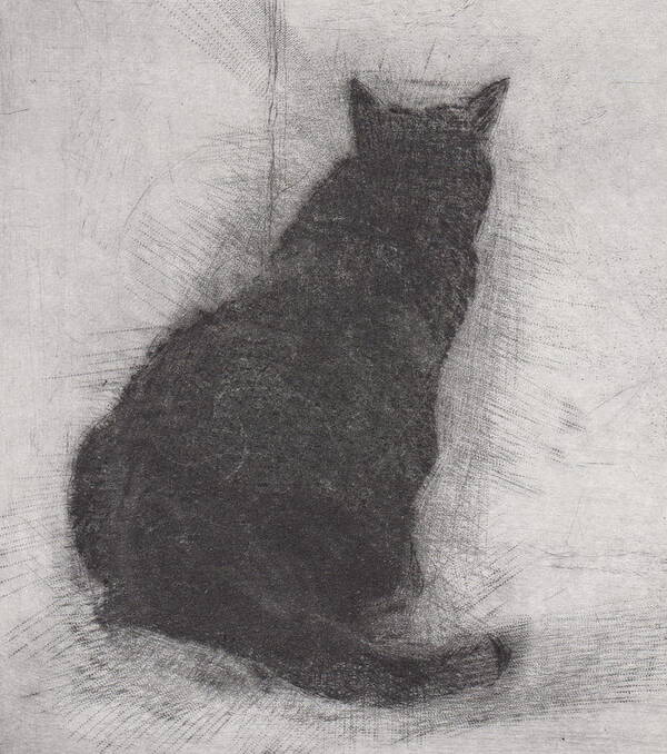 Cat Poster featuring the drawing Ellen Peabody Endicott - etching - cropped version by David Ladmore