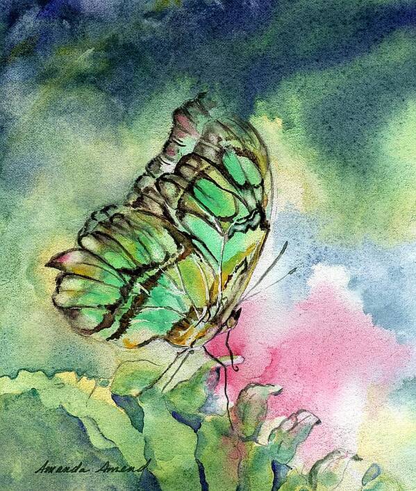 Butterfly Poster featuring the painting Green Malachite Butterfly by Amanda Amend