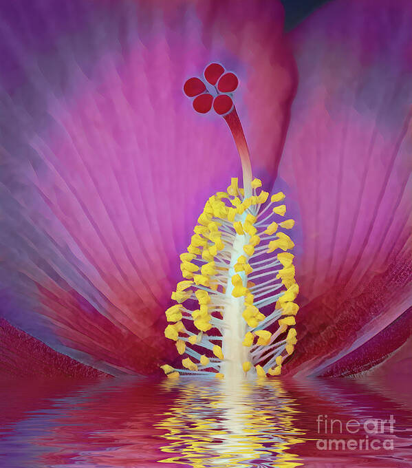 Hibiscus Poster featuring the photograph Hibiscus by Patti Schulze