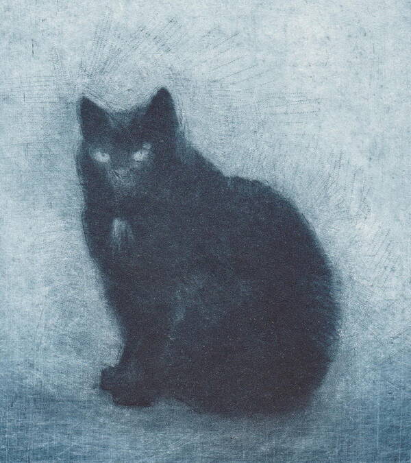 Cat Poster featuring the drawing Madame Escudier - etching - cropped version by David Ladmore