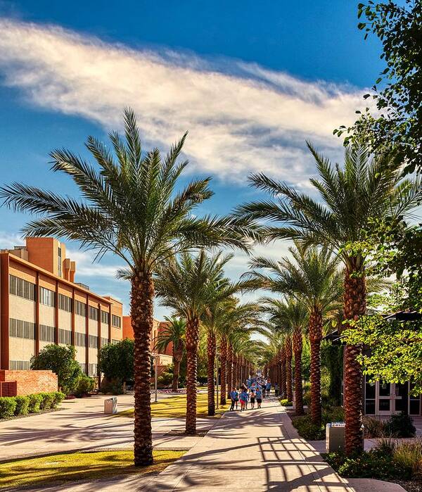 Arizona State University Poster featuring the photograph The Arizona State University Palm Walk by Mountain Dreams