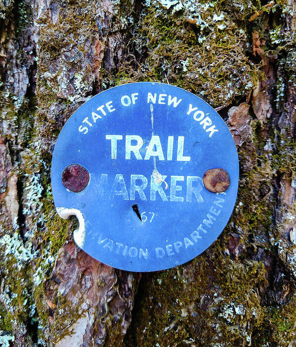 Trail Marker Poster featuring the photograph Trail Marker 67 by Bruce Carpenter