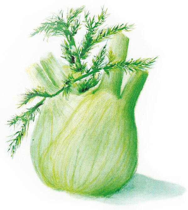 Aquarelle Poster featuring the painting Watercolor Fennel Aquarelle Fenouil by Joelle Philibert