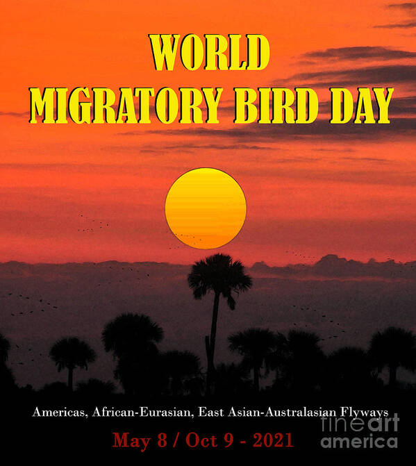 World Migratory Bird Day Poster featuring the mixed media World Migratory Bird Day 2021 by David Lee Thompson
