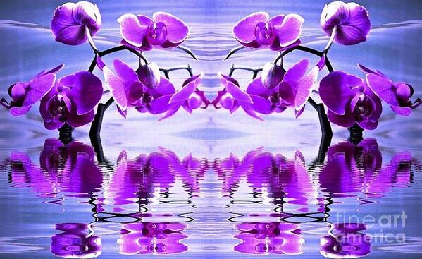 Orchid Poster featuring the photograph Orchid Mirrored Reflections by Judy Palkimas