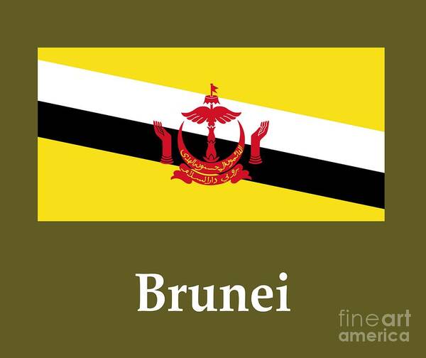 Image result for brunei poster