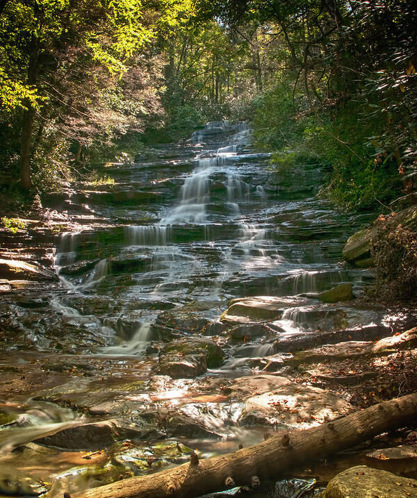 Minnehaha Falls; Waterfall; Rabun County; Georgia; Forest Poster featuring the photograph Minnehaha Falls by Mick Burkey