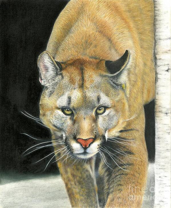 Cougar Poster featuring the painting Wintertime Prowler by Barby Schacher