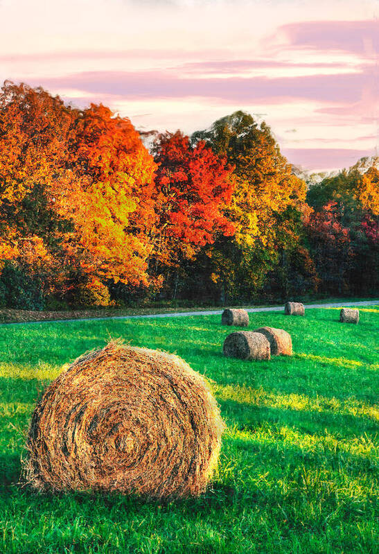 North Carolina Poster featuring the photograph Blue Ridge - Fall Colors Autumn Colorful Trees and Hay Bales II by Dan Carmichael