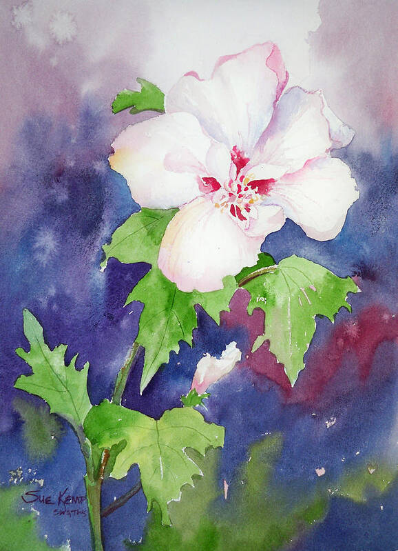 Rose Of Sharon Poster featuring the painting Rose of Sharon by Sue Kemp