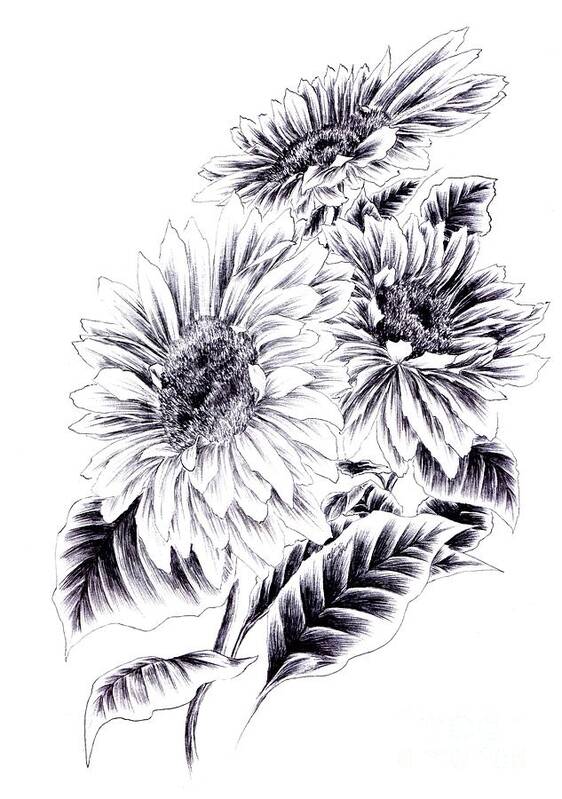 Sunflower Poster featuring the drawing Towards the Light by Alice Chen