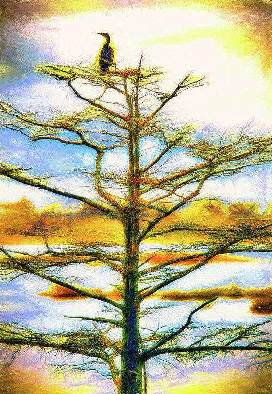 North Carolina Poster featuring the painting Bird in a Tree Outer Banks ap by Dan Carmichael