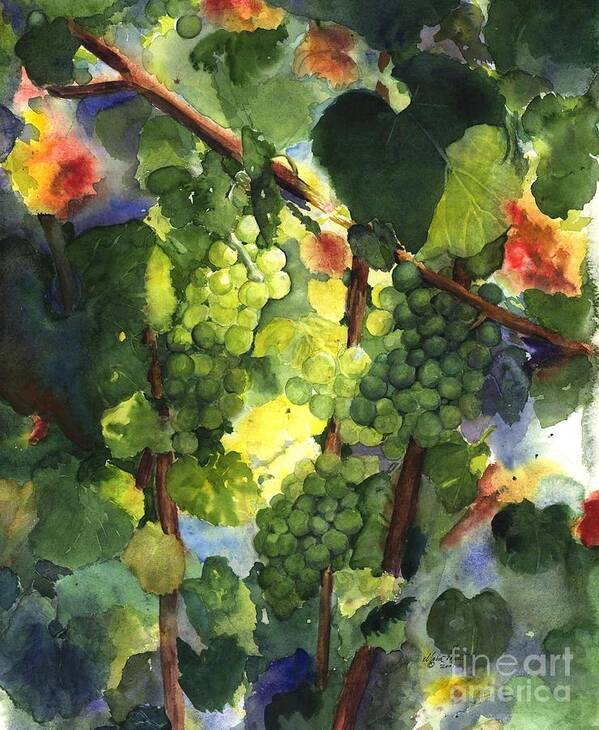 Green Grapes Poster featuring the painting Chardonnay au Soliel by Maria Hunt