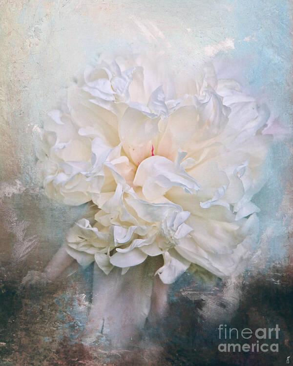 Abstract Poster featuring the photograph Abstract Peony in Blue by Jai Johnson