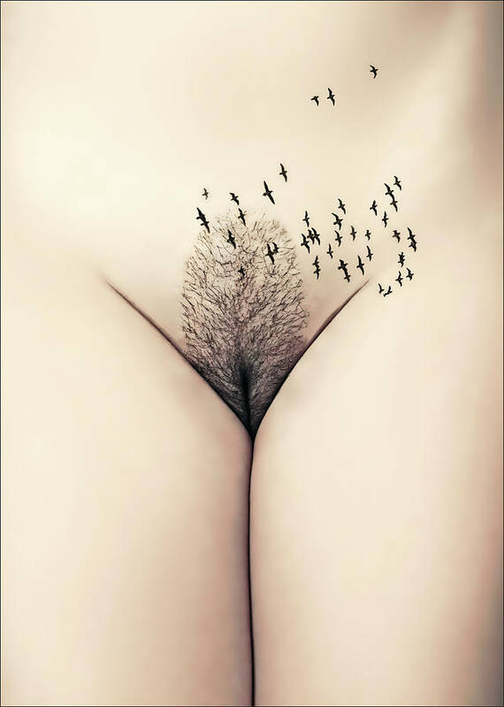 Fine Art Nude Poster featuring the photograph Arborem by Carlos P. Vazquez