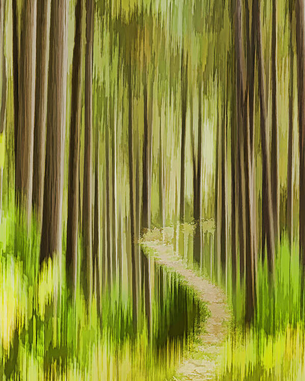 Forest Poster featuring the photograph Autumn Forest Abstract Version 3 by Thomas Young